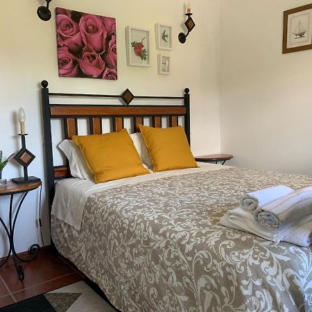 Casa Castenda ヴィゼウ エクステリア 写真